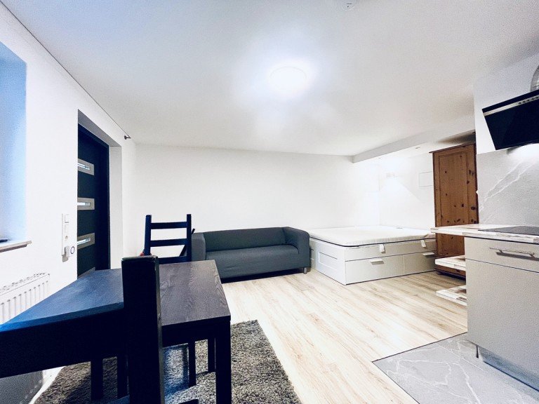 Wohnen/Schlafen/Kochen Gro�-Zimmern Wohnung Voll m�bliertes 1,5-Zimmer-Appartement