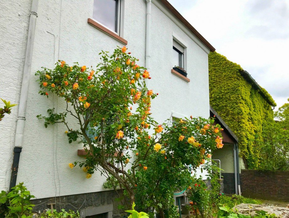 Vorgarten Mehrfamilienhaus Gro�-Zimmern